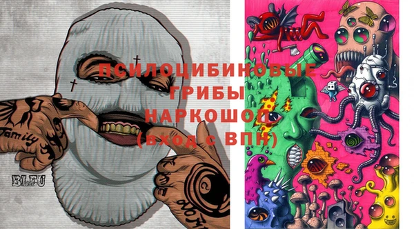 соль курить ск Бородино