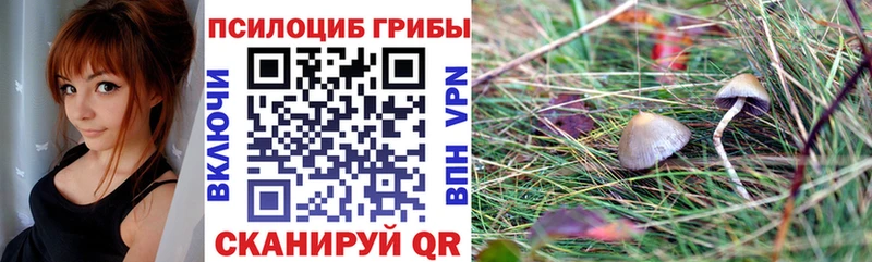 Галлюциногенные грибы Psilocybine cubensis  продажа наркотиков  Воркута 
